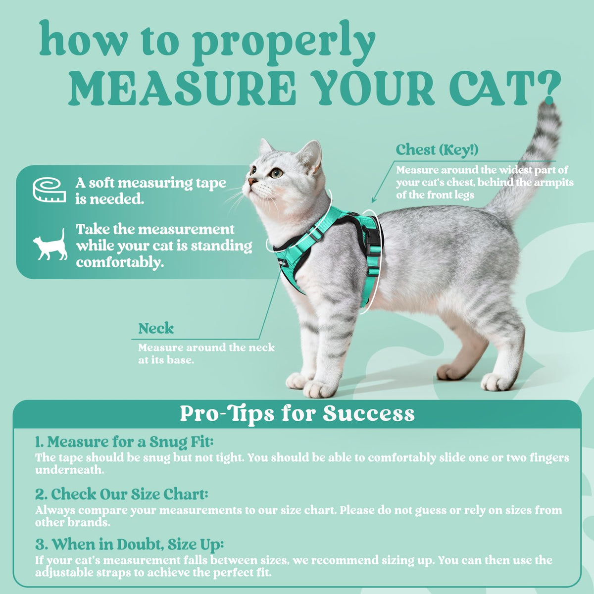 Cat Harness and Leash Set (Xxs / Emerald)