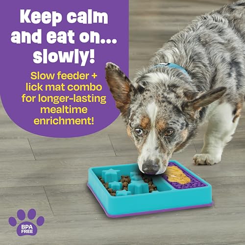 Square 2-in-1 Slow Feeder Bowl and Lick Mat (Slow Feeder & Lick Mat)