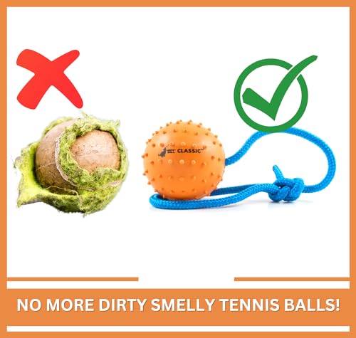 Nero Ball Classic (Large (Pack of 1))