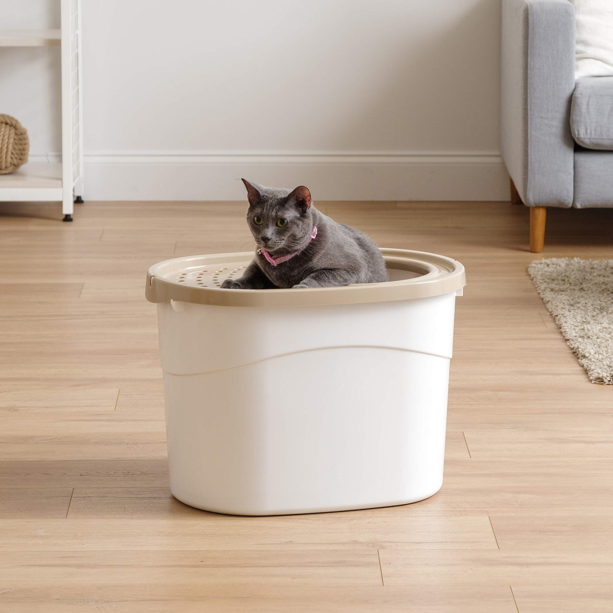 Top Entry Cat Litter Box (Oval / White w/ Scoop)