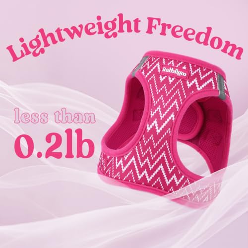 Dog Harness Small Sized and Leash Set (Rose Red Wave / M (Chest: 16.0"-18.5"))