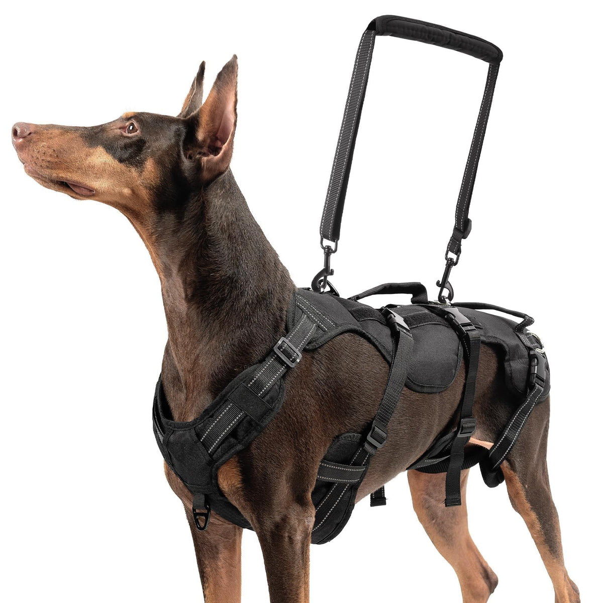 Dog Lift Harness for Medium Dogs (Black / Medium)