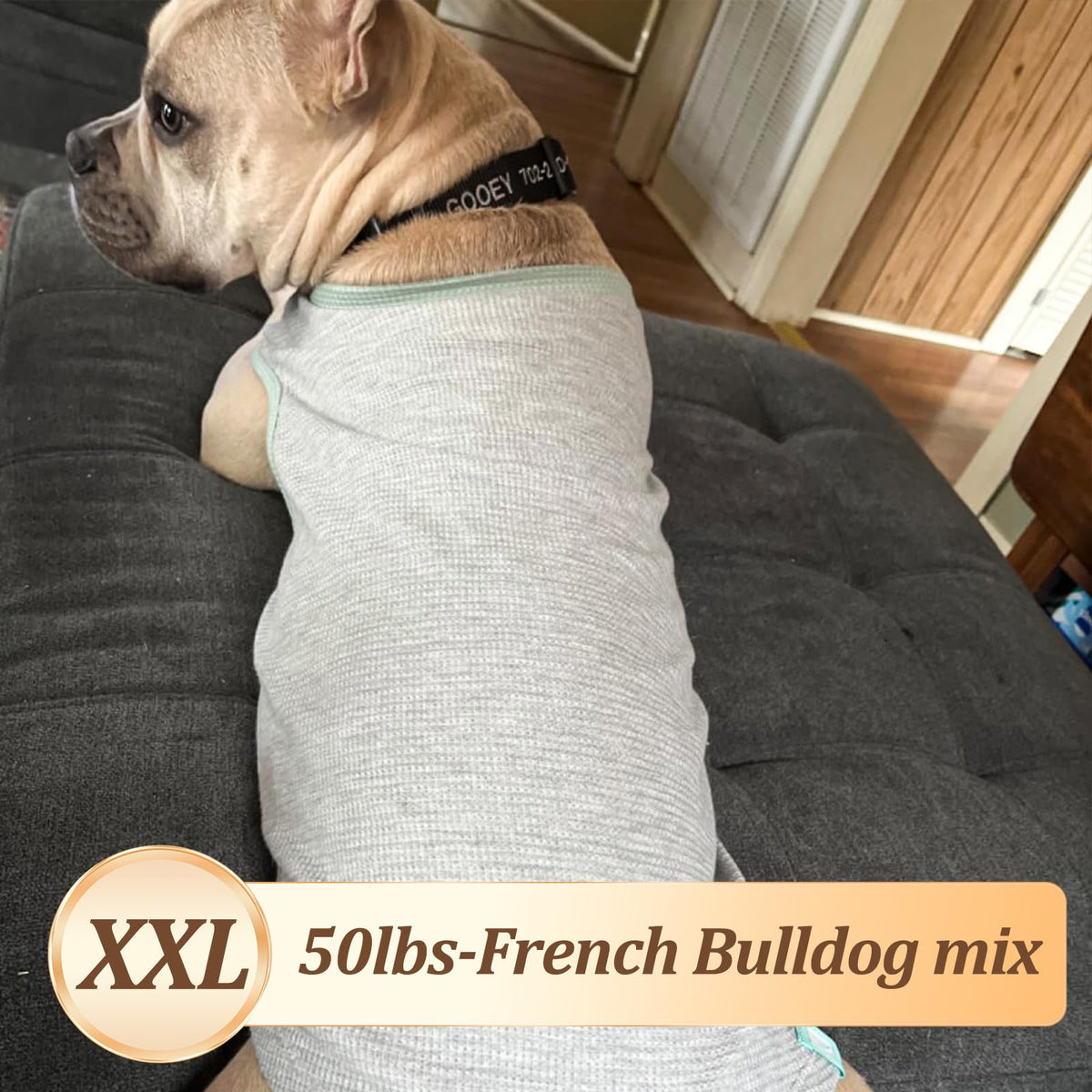 2Pack Waffle Dog Shirt for Medium Large Dogs Soft Dog Sweater (XX-Large (28-50lbs) / 2Pack(Blue+Grey))